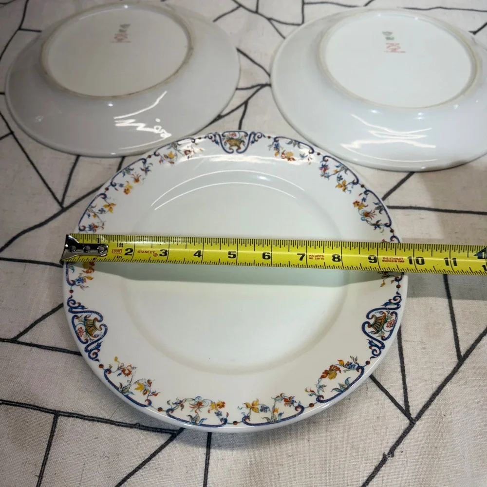 Haviland France Limoges‎ Plates 10